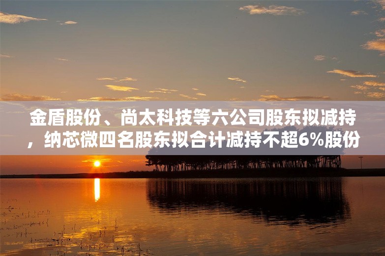 金盾股份、尚太科技等六公司股东拟减持，纳芯微四名股东拟合计减持不超6%股份