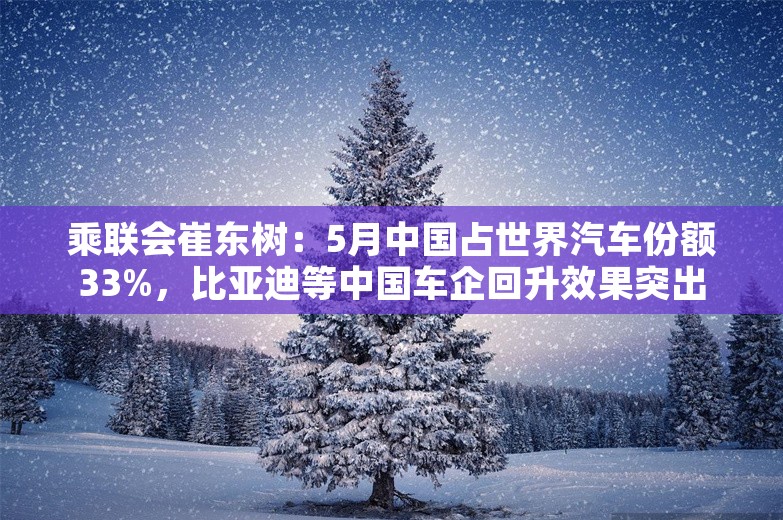 乘联会崔东树：5月中国占世界汽车份额33%，比亚迪等中国车企回升效果突出