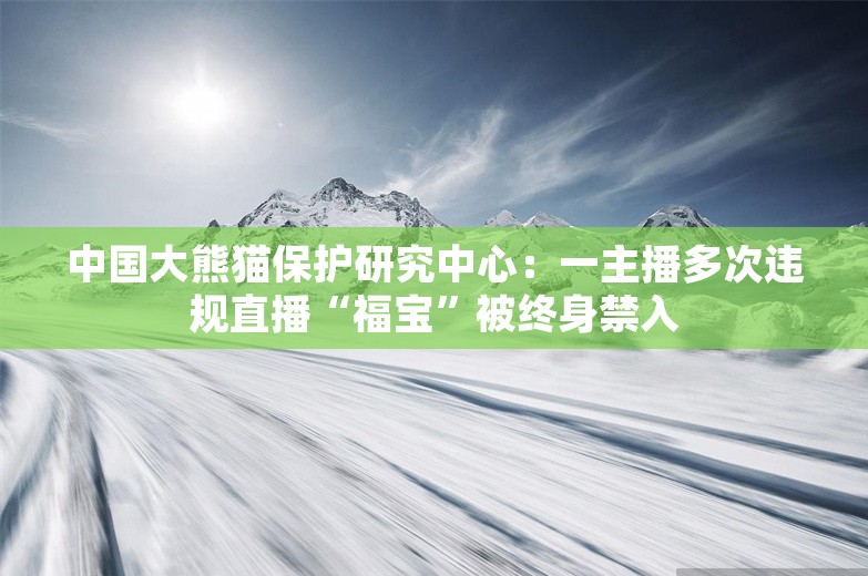 中国大熊猫保护研究中心：一主播多次违规直播“福宝”被终身禁入