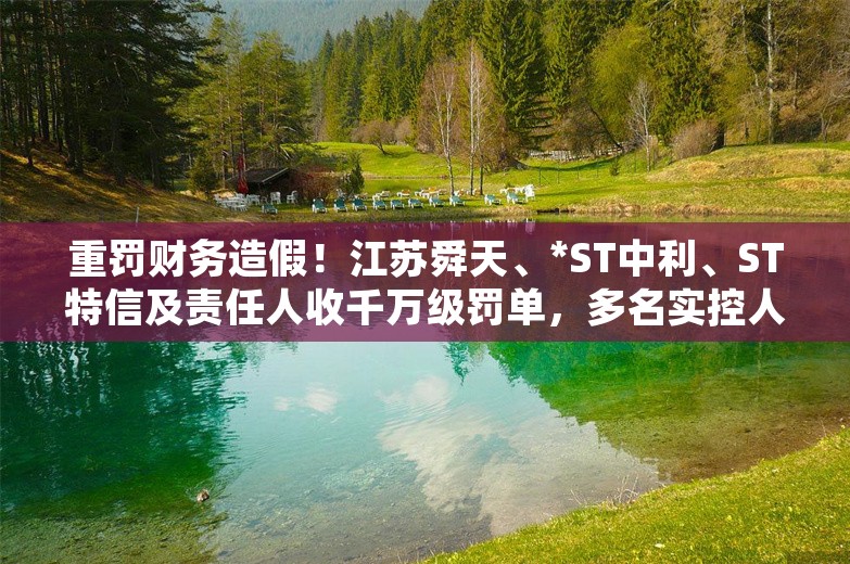 重罚财务造假！江苏舜天、*ST中利、ST特信及责任人收千万级罚单，多名实控人、高管被市场禁入