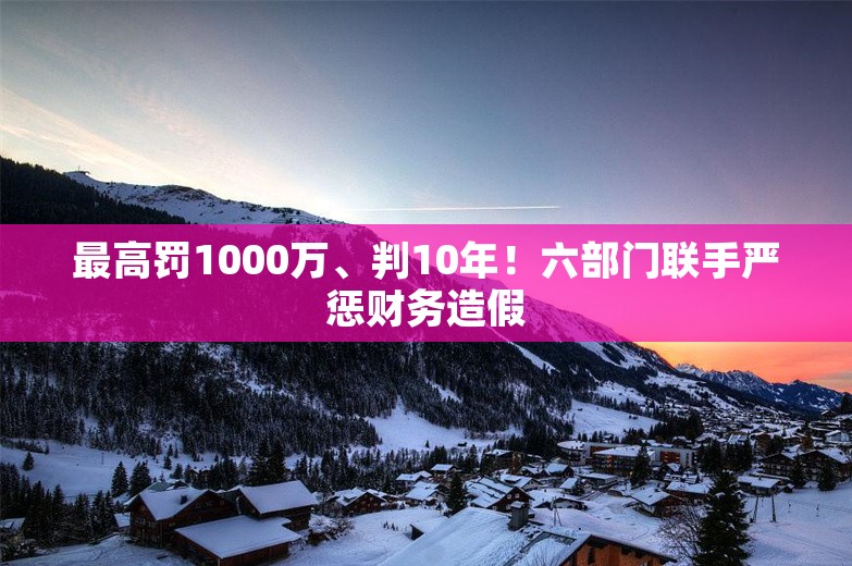 最高罚1000万、判10年！六部门联手严惩财务造假