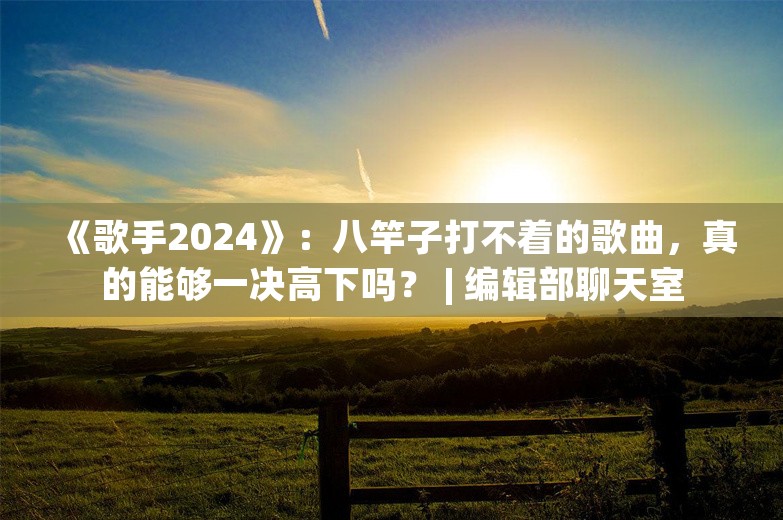 《歌手2024》：八竿子打不着的歌曲，真的能够一决高下吗？ | 编辑部聊天室