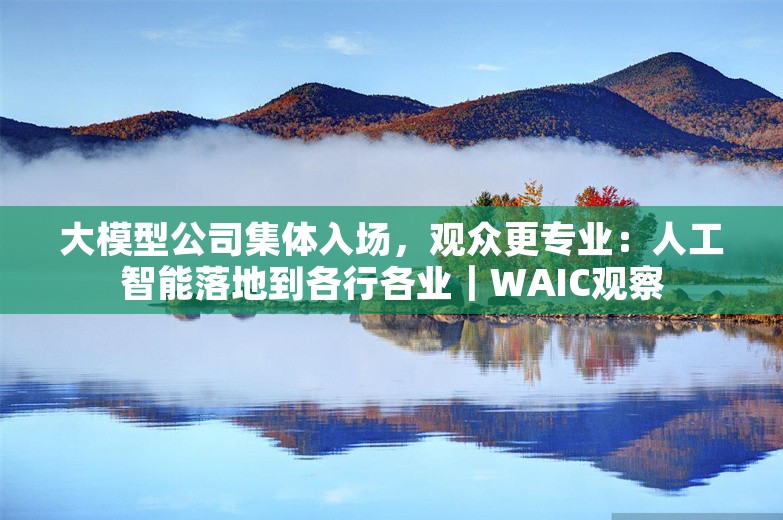 大模型公司集体入场，观众更专业：人工智能落地到各行各业｜WAIC观察