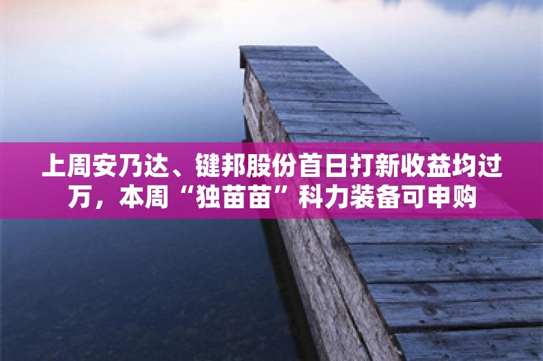 上周安乃达、键邦股份首日打新收益均过万，本周“独苗苗”科力装备可申购