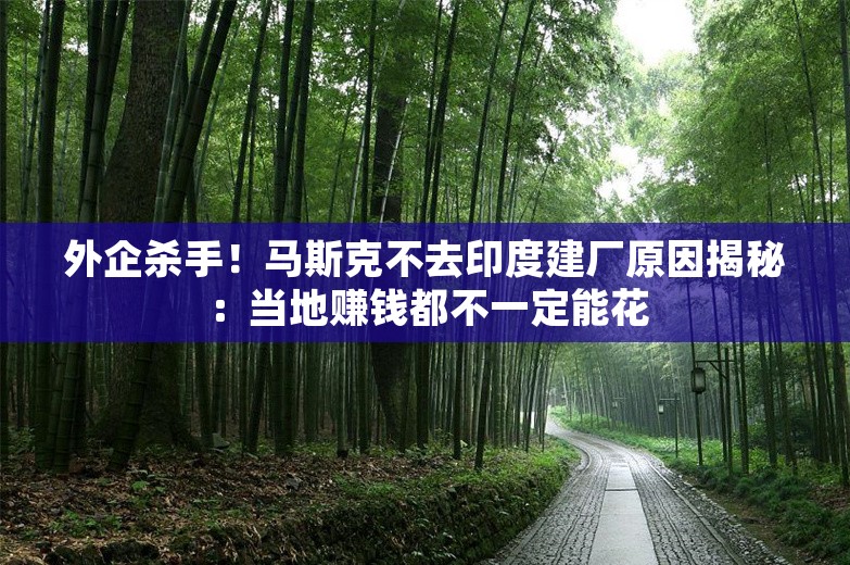 外企杀手！马斯克不去印度建厂原因揭秘：当地赚钱都不一定能花