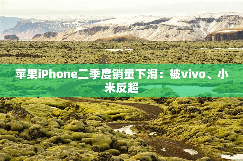 苹果iPhone二季度销量下滑：被vivo、小米反超