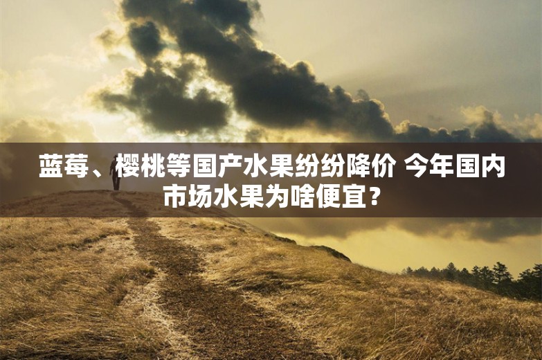 蓝莓、樱桃等国产水果纷纷降价 今年国内市场水果为啥便宜？