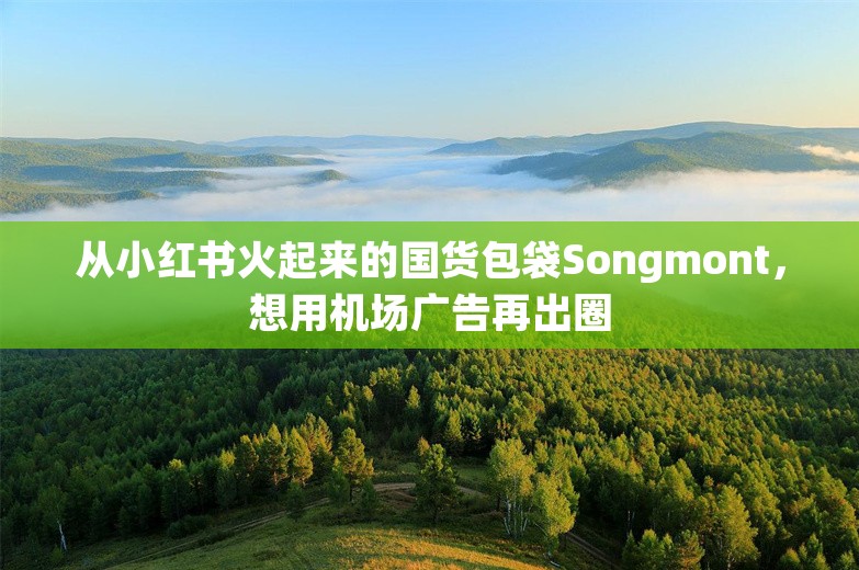 从小红书火起来的国货包袋Songmont，想用机场广告再出圈