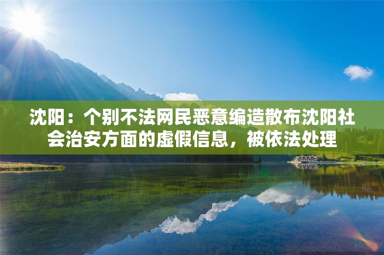 沈阳：个别不法网民恶意编造散布沈阳社会治安方面的虚假信息，被依法处理