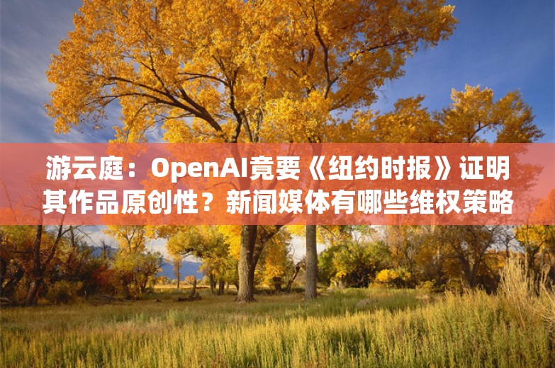 游云庭：OpenAI竟要《纽约时报》证明其作品原创性？新闻媒体有哪些维权策略