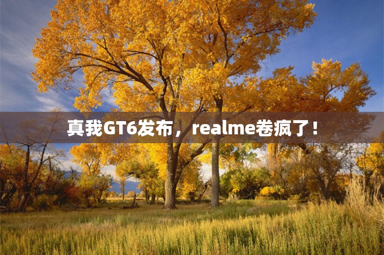 真我GT6发布，realme卷疯了！