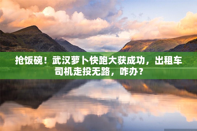 抢饭碗！武汉萝卜快跑大获成功，出租车司机走投无路，咋办？