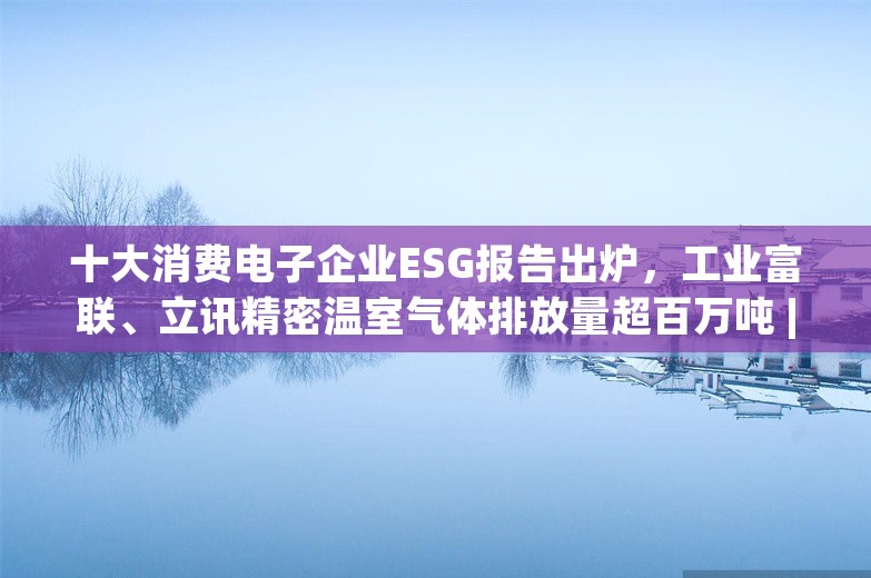 十大消费电子企业ESG报告出炉，工业富联、立讯精密温室气体排放量超百万吨 | ESG信披洞察