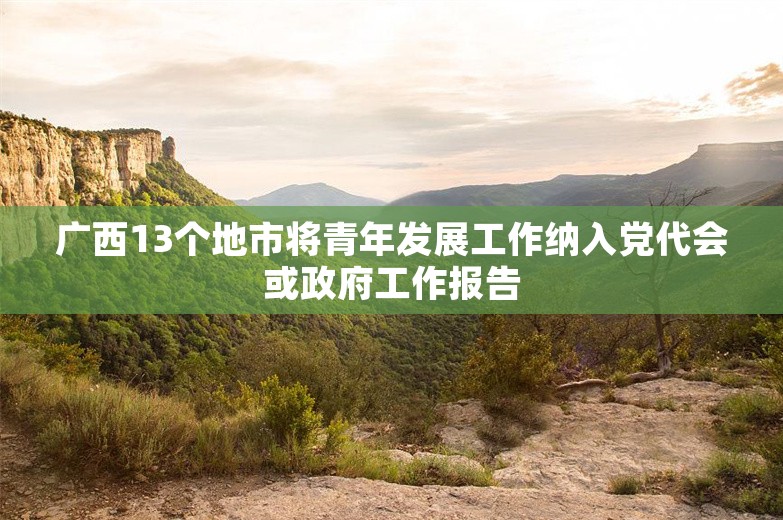 广西13个地市将青年发展工作纳入党代会或政府工作报告