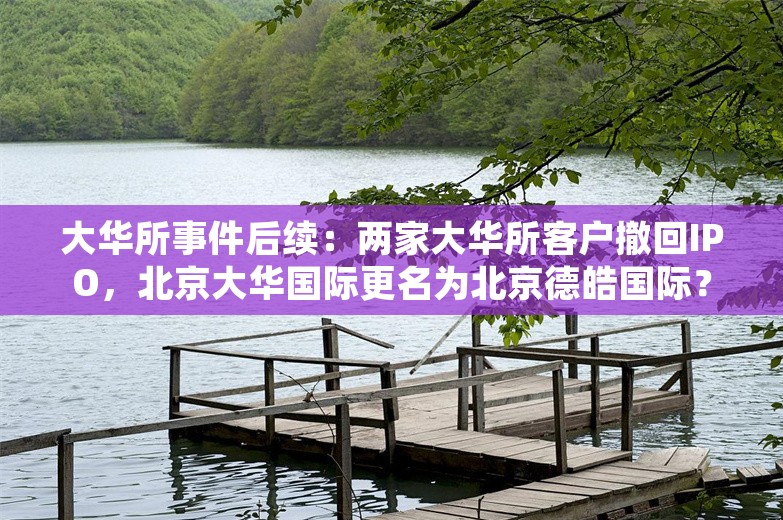 大华所事件后续：两家大华所客户撤回IPO，北京大华国际更名为北京德皓国际？