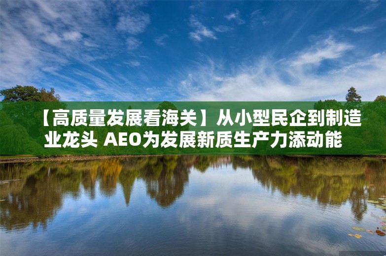 【高质量发展看海关】从小型民企到制造业龙头 AEO为发展新质生产力添动能