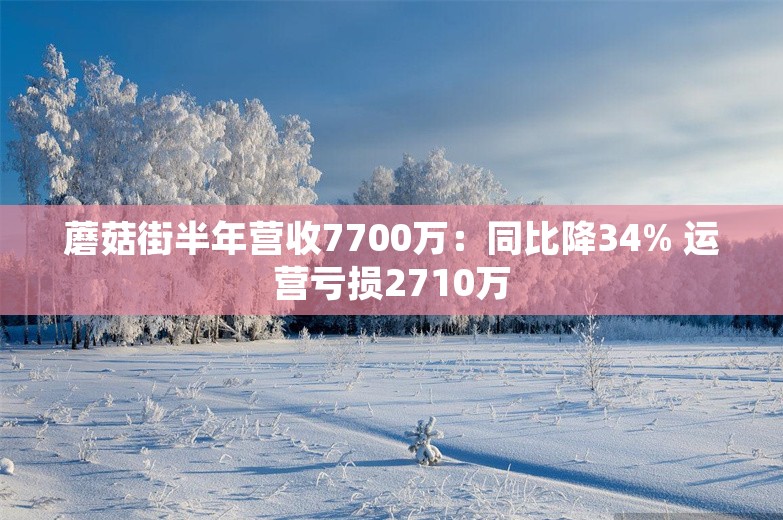 蘑菇街半年营收7700万：同比降34% 运营亏损2710万