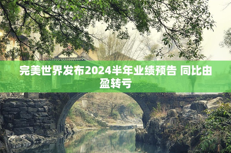 完美世界发布2024半年业绩预告 同比由盈转亏