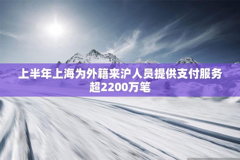 上半年上海为外籍来沪人员提供支付服务超2200万笔