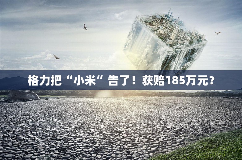 格力把“小米”告了！获赔185万元？