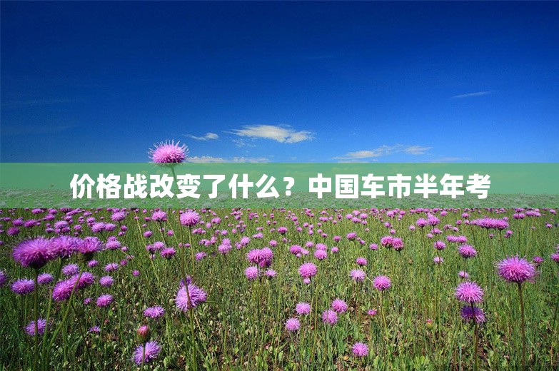 价格战改变了什么？中国车市半年考