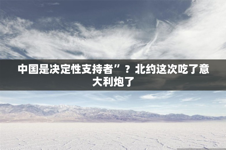 中国是决定性支持者”？北约这次吃了意大利炮了