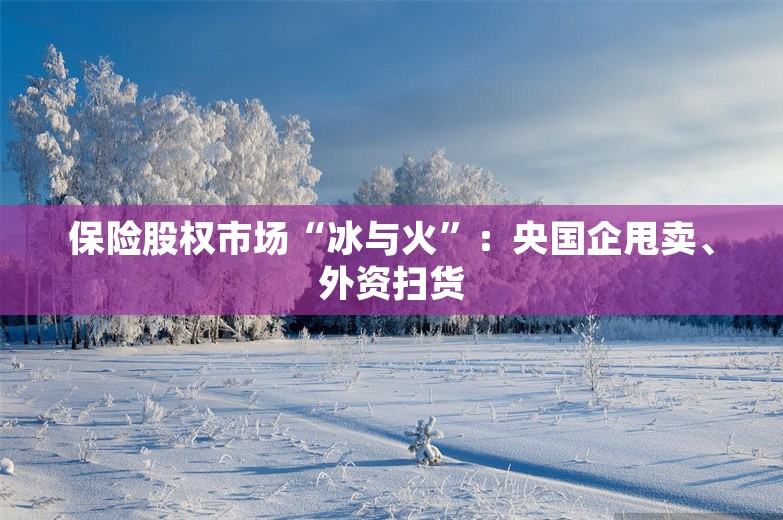 保险股权市场“冰与火”：央国企甩卖、外资扫货