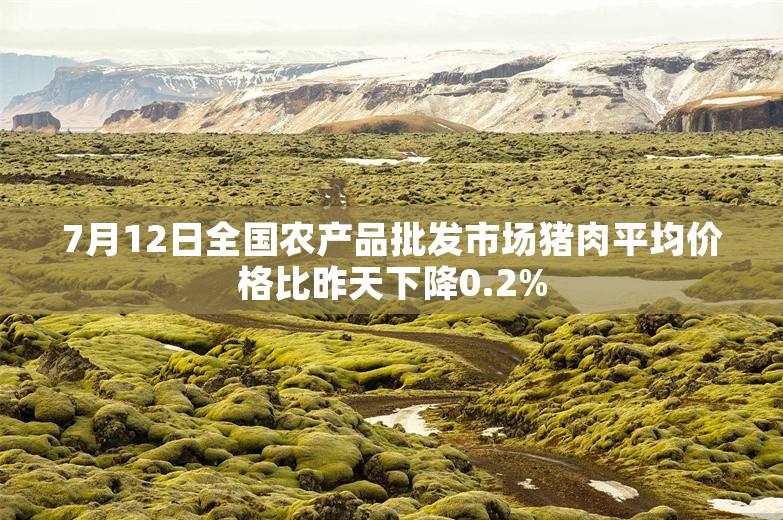 7月12日全国农产品批发市场猪肉平均价格比昨天下降0.2%