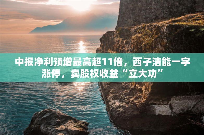 中报净利预增最高超11倍，西子洁能一字涨停，卖股权收益“立大功”