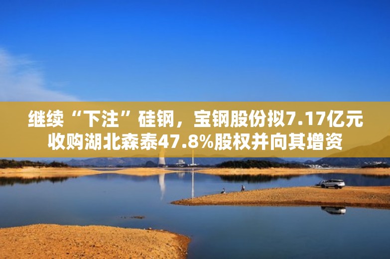 继续“下注”硅钢，宝钢股份拟7.17亿元收购湖北森泰47.8%股权并向其增资