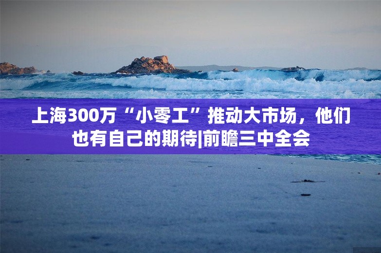 上海300万“小零工”推动大市场，他们也有自己的期待|前瞻三中全会