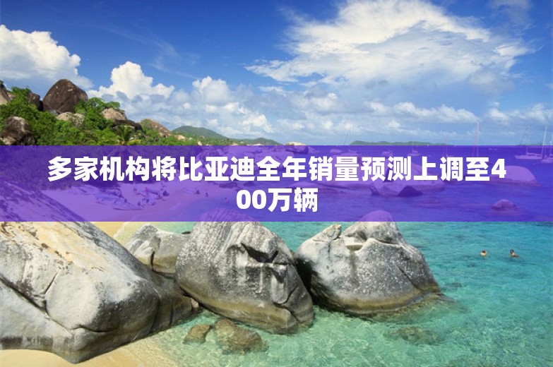 多家机构将比亚迪全年销量预测上调至400万辆