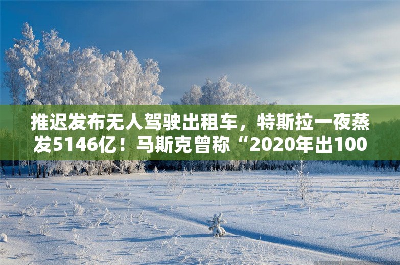 推迟发布无人驾驶出租车，特斯拉一夜蒸发5146亿！马斯克曾称“2020年出100万辆Robotaxi”