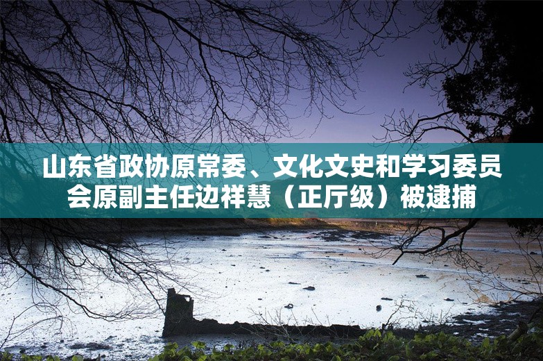 山东省政协原常委、文化文史和学习委员会原副主任边祥慧（正厅级）被逮捕