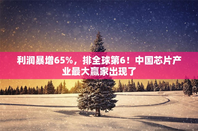 利润暴增65%，排全球第6！中国芯片产业最大赢家出现了