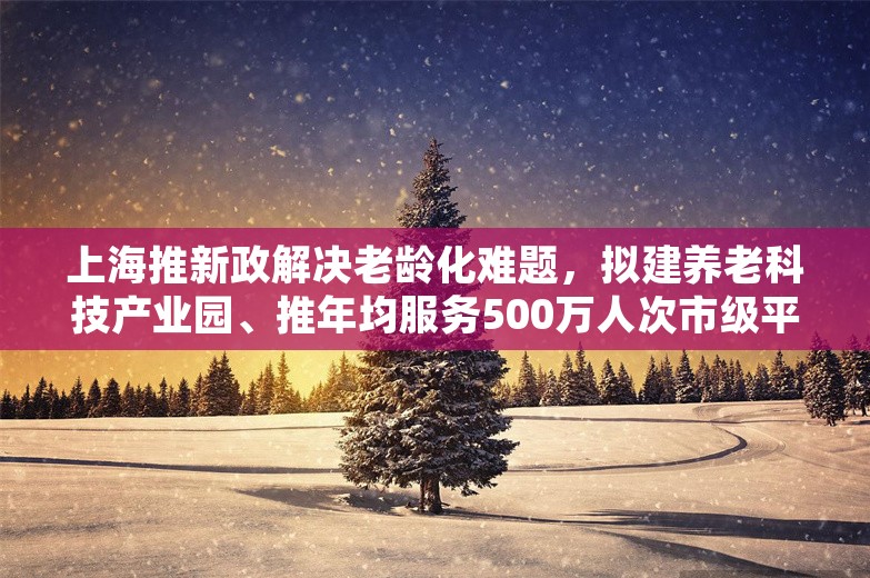 上海推新政解决老龄化难题，拟建养老科技产业园、推年均服务500万人次市级平台