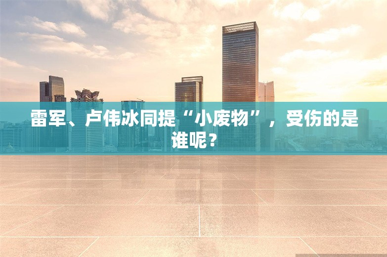 雷军、卢伟冰同提“小废物”，受伤的是谁呢？