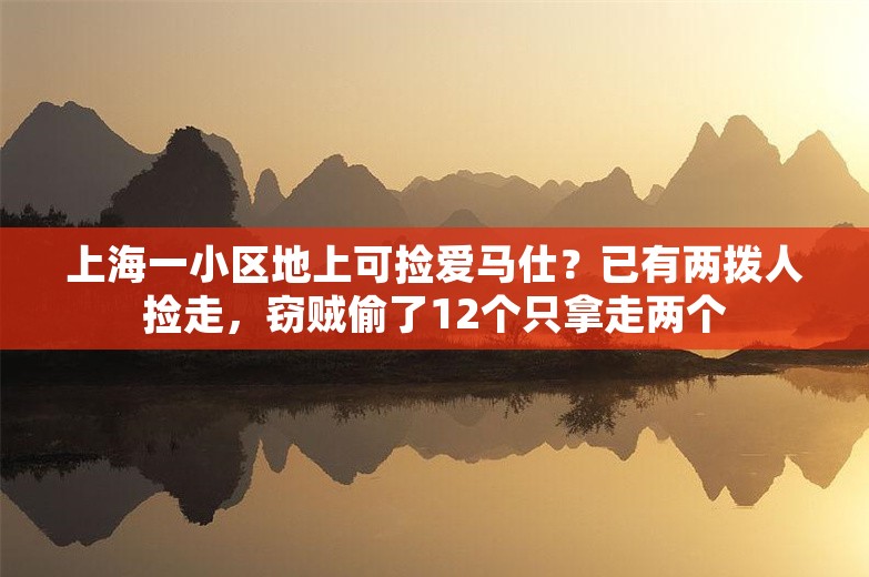 上海一小区地上可捡爱马仕？已有两拨人捡走，窃贼偷了12个只拿走两个