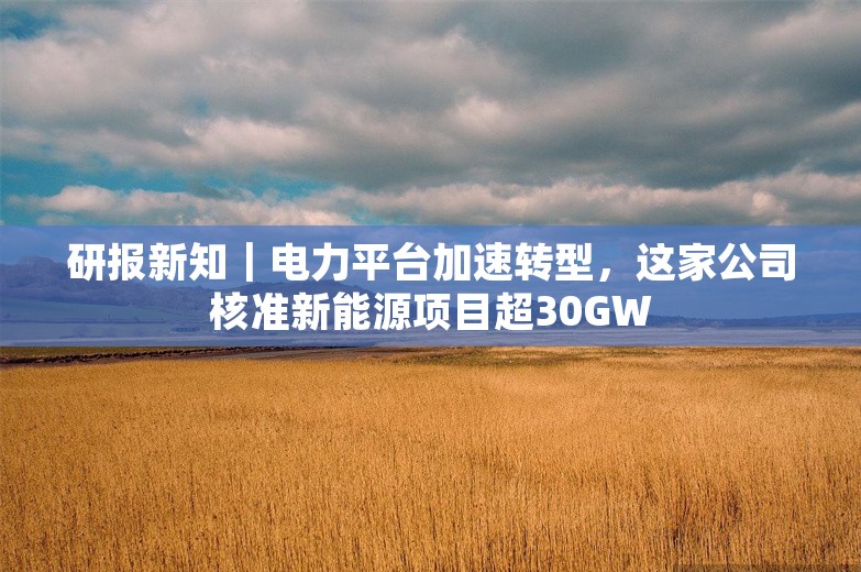 研报新知｜电力平台加速转型，这家公司核准新能源项目超30GW