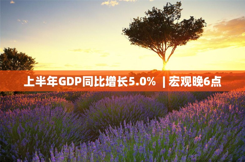 上半年GDP同比增长5.0%  | 宏观晚6点