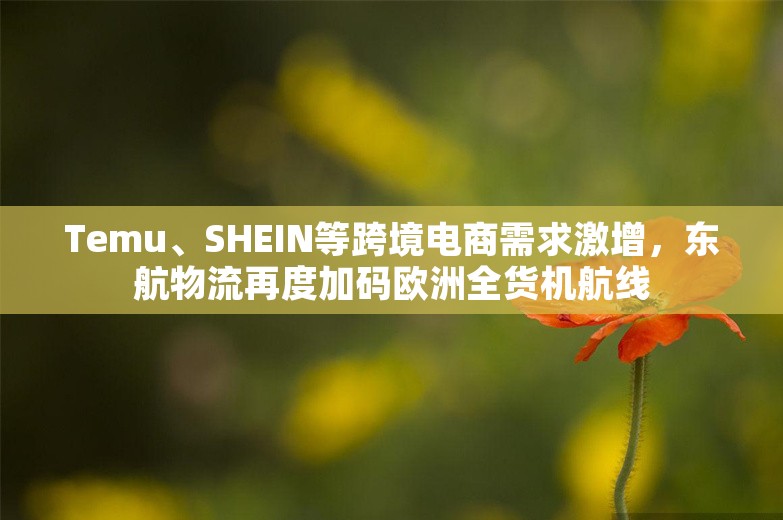 Temu、SHEIN等跨境电商需求激增，东航物流再度加码欧洲全货机航线