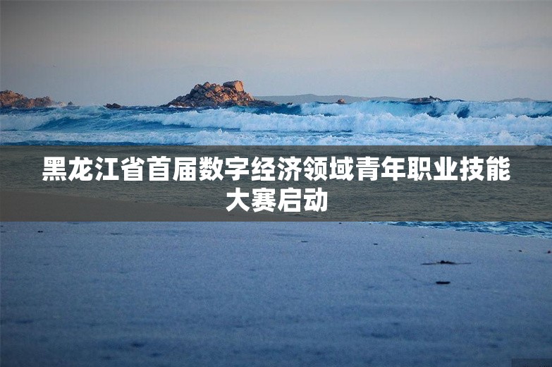 黑龙江省首届数字经济领域青年职业技能大赛启动