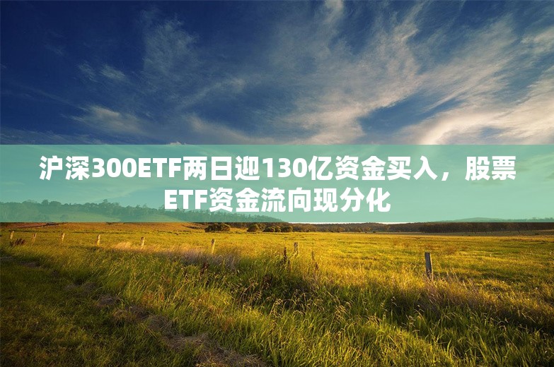 沪深300ETF两日迎130亿资金买入，股票ETF资金流向现分化