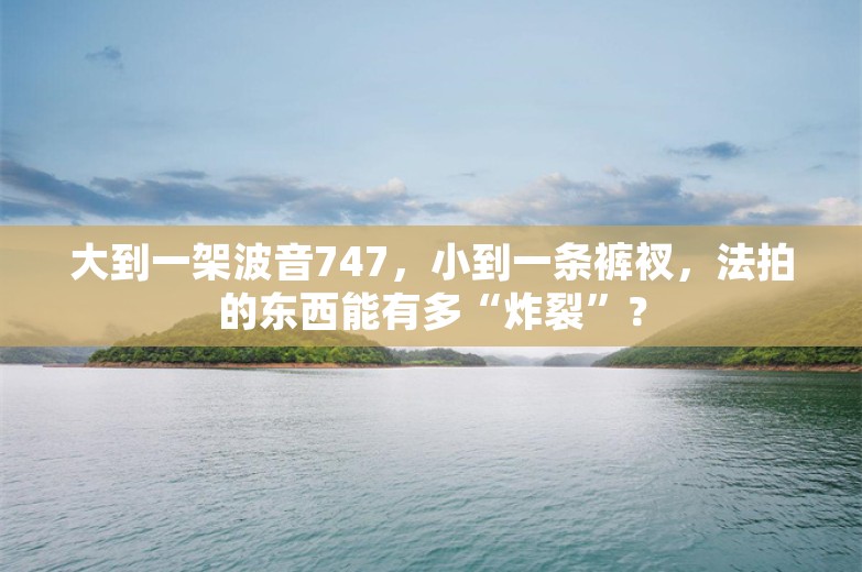 大到一架波音747，小到一条裤衩，法拍的东西能有多“炸裂”？