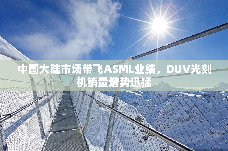 中国大陆市场带飞ASML业绩，DUV光刻机销量增势迅猛