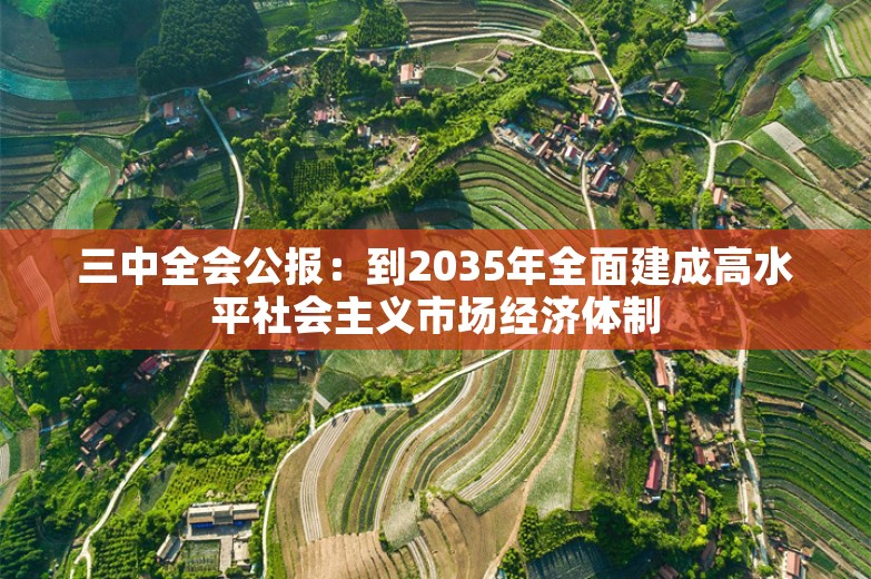 三中全会公报：到2035年全面建成高水平社会主义市场经济体制