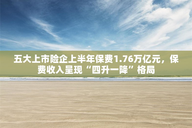 五大上市险企上半年保费1.76万亿元，保费收入呈现“四升一降”格局