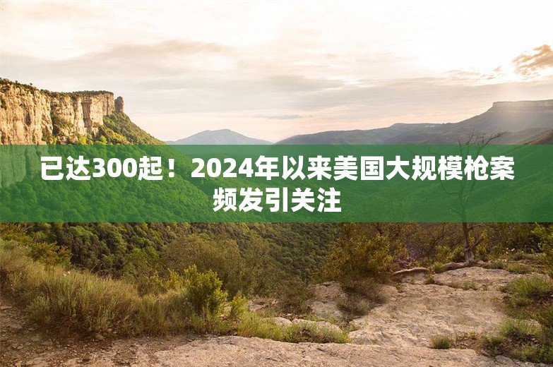 已达300起！2024年以来美国大规模枪案频发引关注