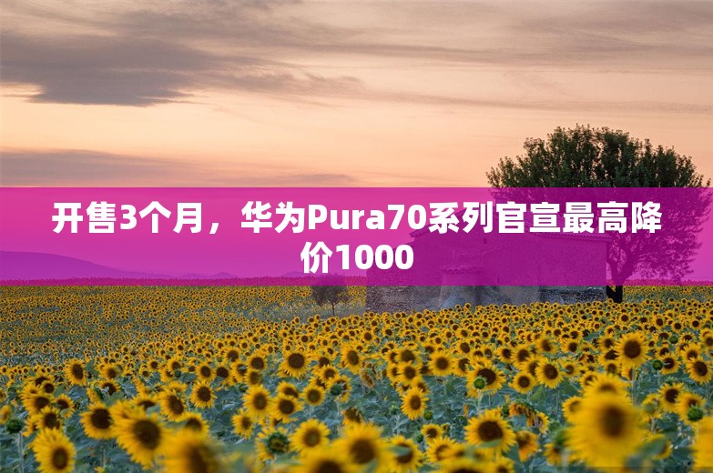 开售3个月，华为Pura70系列官宣最高降价1000