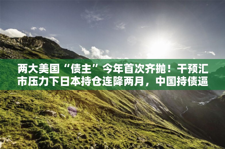 两大美国“债主”今年首次齐抛！干预汇市压力下日本持仓连降两月，中国持债逼近2009年来低谷